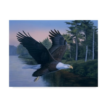 Rusty Frentner 'Eagle Soaring' Canvas Art,24x32